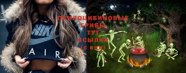 прущие грибы Володарск