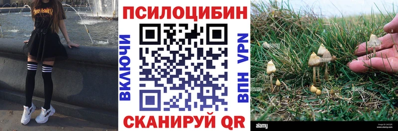 Псилоцибиновые грибы прущие грибы  купить наркотики цена  Лодейное Поле 